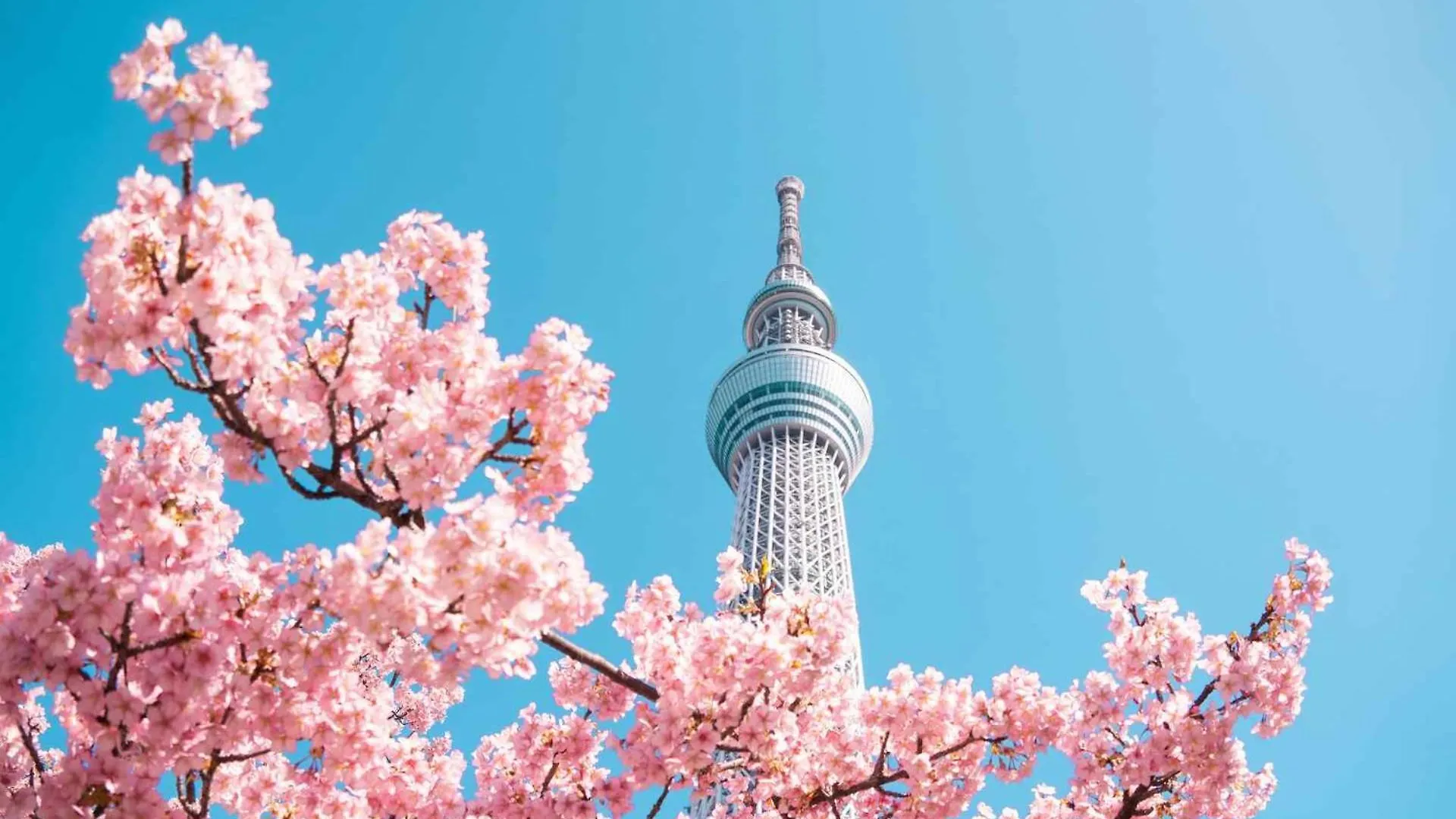 Fl Hotel Asakusa Tokyo 3*,